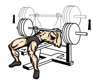 Bench Press Program