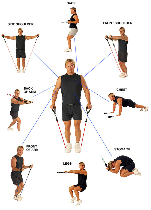 Delt Exercises