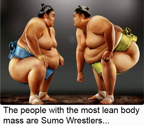 The people with the most lean body mass of any human being on the planet are Sumo Wrestlers