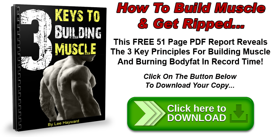 The Delicious M Gain Bodybuilding T Muscle Fitness The 3 Keys To Building Muscle Pdf