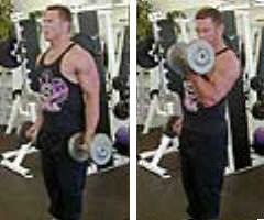 bicep dumbell curls