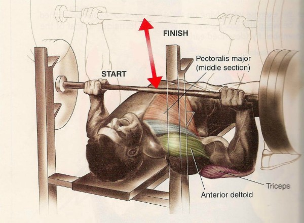 Proper Bench Press Form