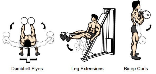 Isolation Exercises - Dumbbell Flyes Leg Extensions Bicep Curls
