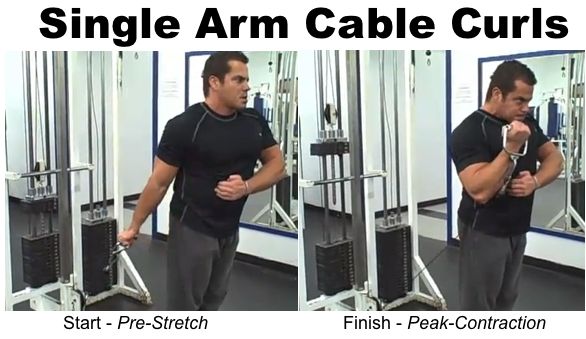 Single Arm Bicep Cable Curls