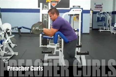 Bicep Preacher Curls