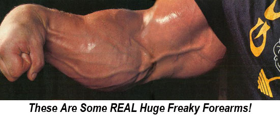 huge-freaky-forearms-workout-lee-hayward-s-total-fitness-bodybuilding