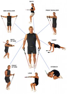 Shoulder Workout with Cable Exercises — Lee Hayward's Total Fitness ...