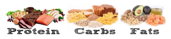 Protein Carbs and Fat