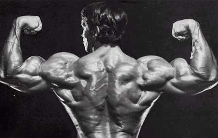 Arnold Schwarzenegger Back Pose