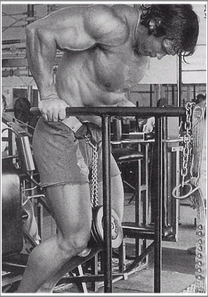 Arnold Doing Weighted Dips