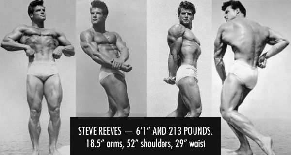 Steeve Reeves Old School Bodybuilding Workout Lee Hayward s