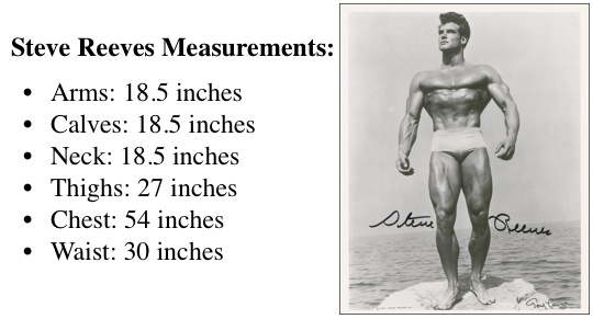 Bodybuilding Body Measurement Chart