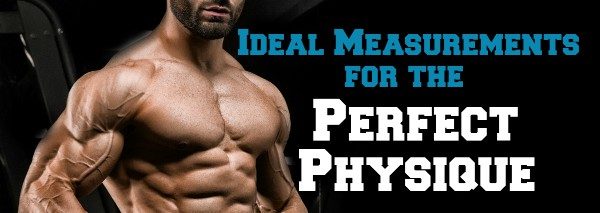 Ideal Measurements for a Bodybuilding Physique — Lee Hayward's Total  Fitness Bodybuilding