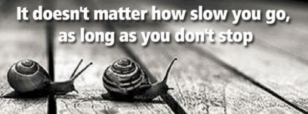 The Key To Success Is Making Slow And Steady Progress!