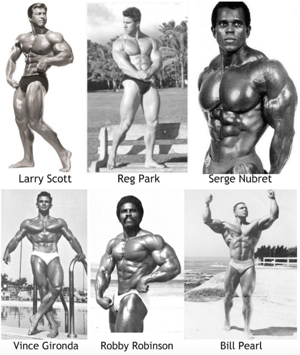 Old school 2025 bodybuilding split