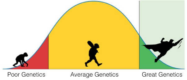 Natural Genetics Chart