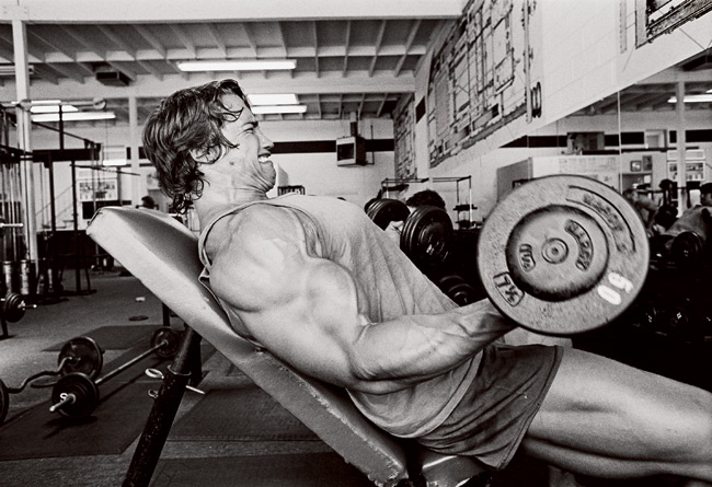 25 Minute Arnold biceps workout videos download for Fat Loss