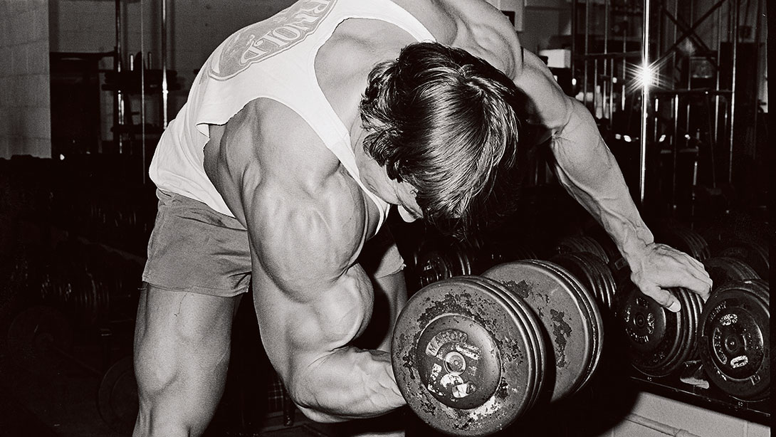 Arnold Concentration Curl