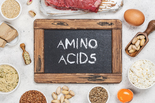 Amino Acids Supplementation for Working Out, Amino acids in our lives, Amino Acids